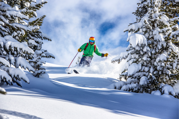 Person beim Skifahren durch frischen Pulverschnee zwischen verschneiten Tannenbäumen an einem sonnigen Wintertag.